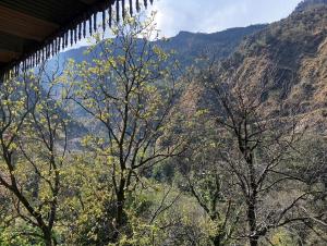 guptkashi
