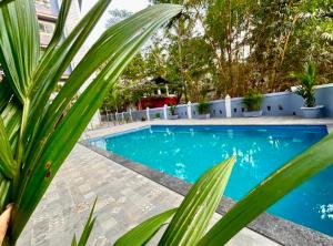 mona collective at serenova