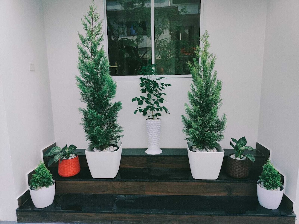 palm paradise beach resort varkala