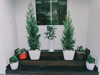 palm paradise beach resort varkala