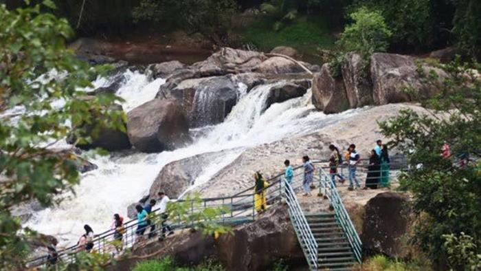 the svarga hill view resort