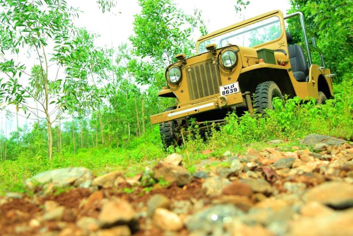 the svarga hill view resort