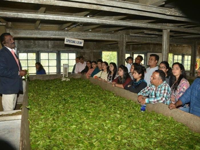 the svarga hill view resort