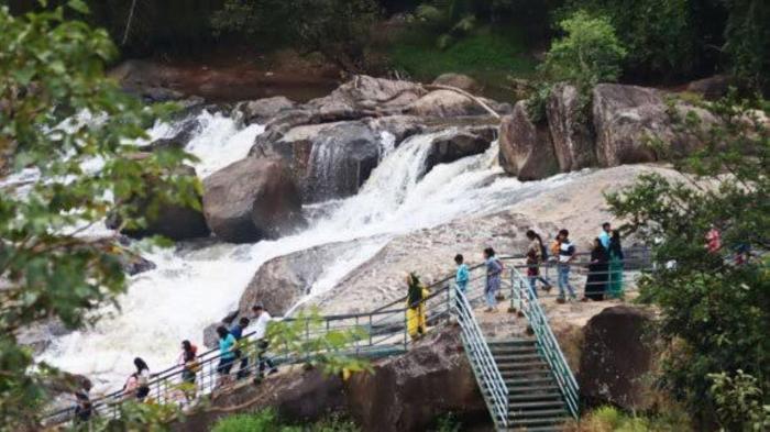 the svarga hill view resort