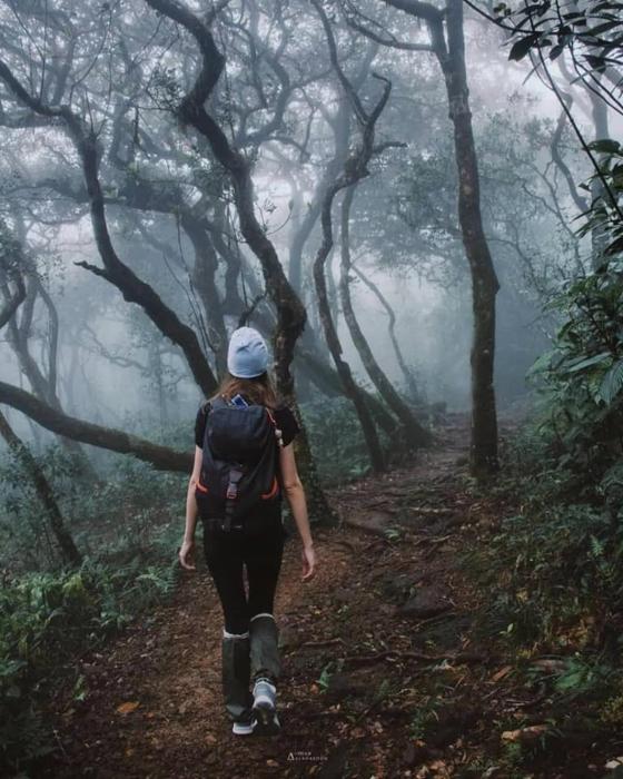 the svarga hill view resort