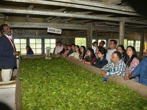 the svarga hill view resort