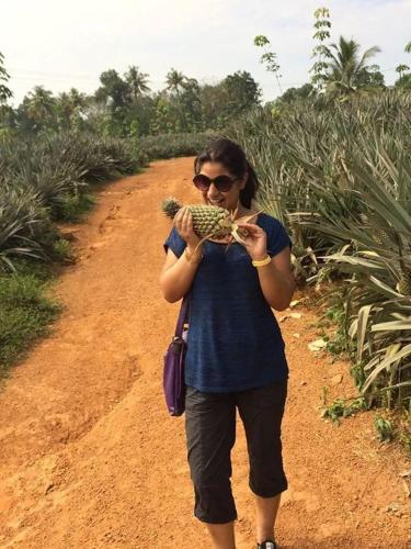 the svarga hill view resort