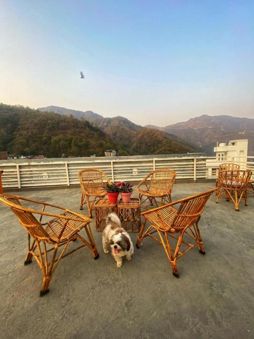 bunk hostel rishikesh