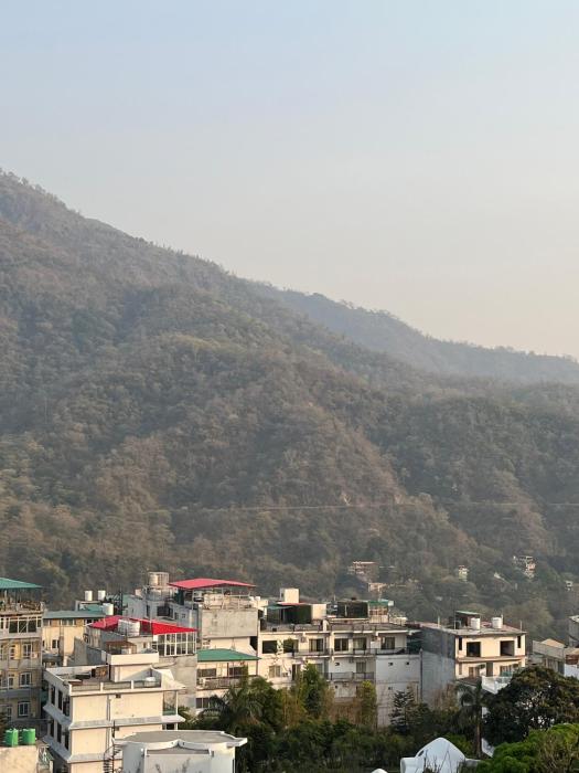 bunk hostel rishikesh