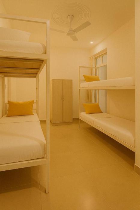 bunk hostel rishikesh