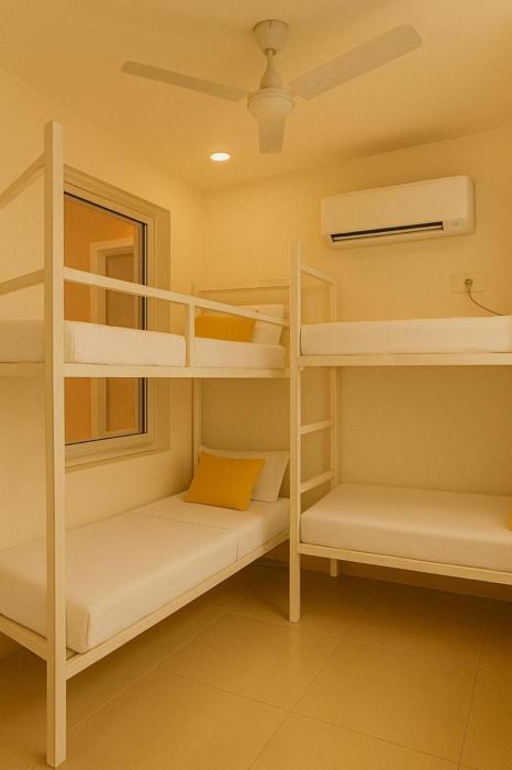 bunk hostel rishikesh