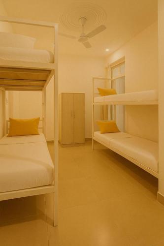 bunk hostel rishikesh