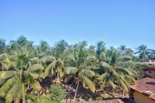 beach edge calangute