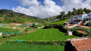ooty