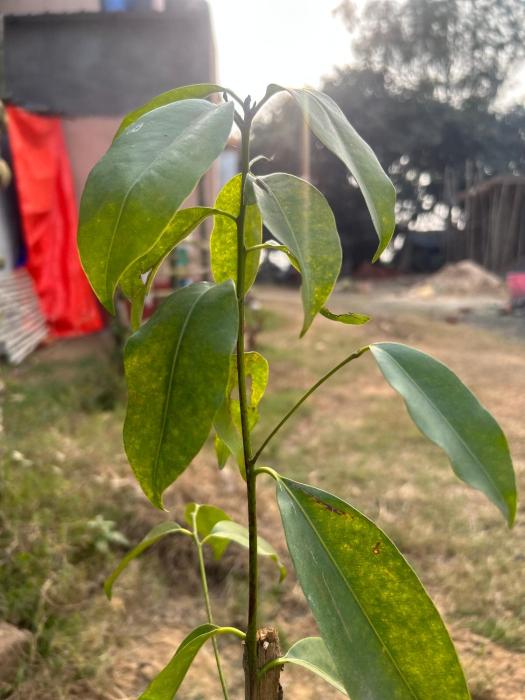 golok riverside retreat