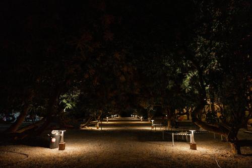 aatman forest resort