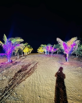 kshan resort by mjm hospitality