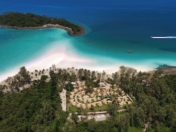 The Survival By Seudam,,2 star