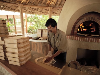 The Survival By Seudam,,2 star