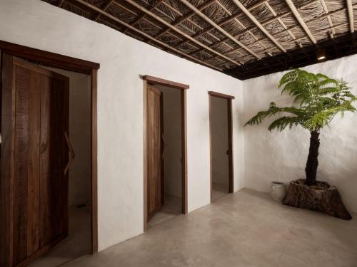 the survival by seudam