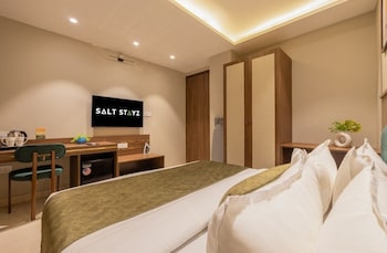 saltstayz premier paschim vihar