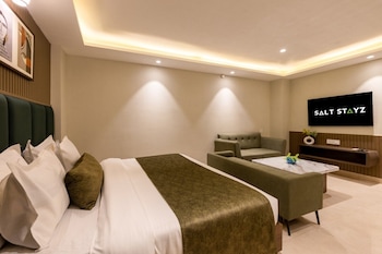 saltstayz premier paschim vihar