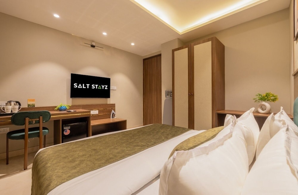 saltstayz premier paschim vihar