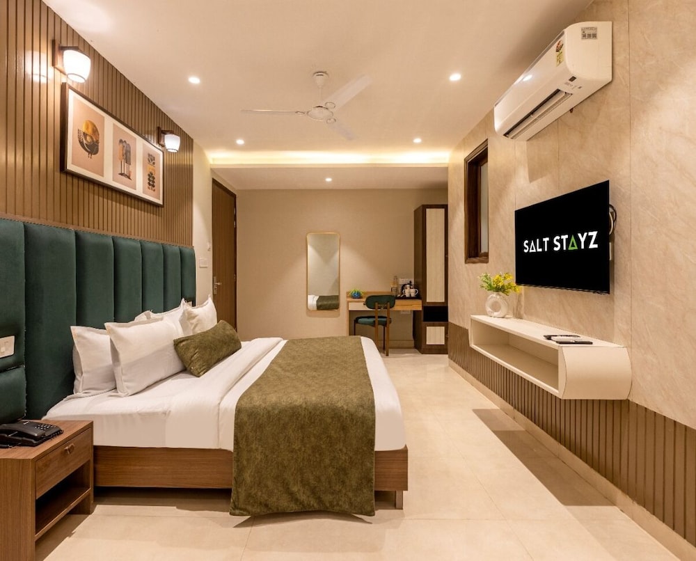 saltstayz premier paschim vihar