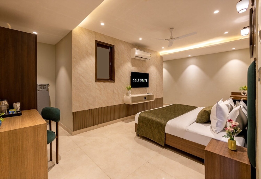saltstayz premier paschim vihar