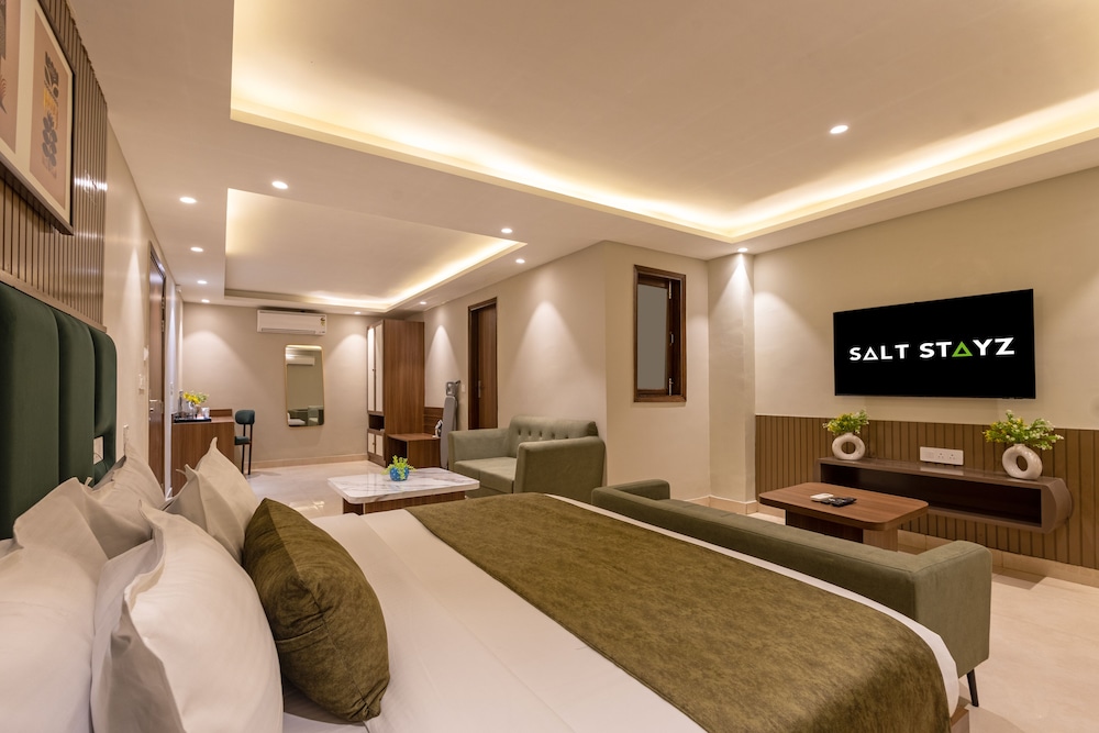 saltstayz premier paschim vihar