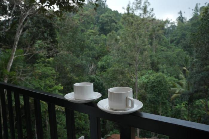 elenji merrywoods resort