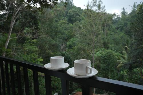 elenji merrywoods resort