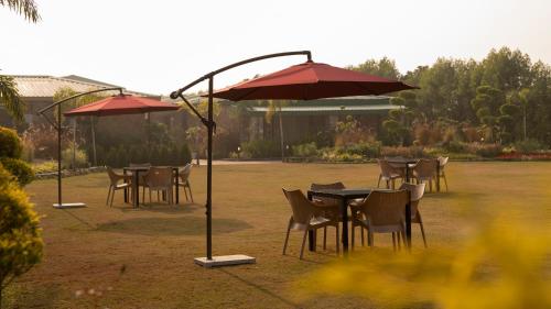 corbett elegant retreat