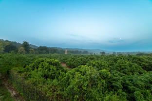 vanya resort corbett