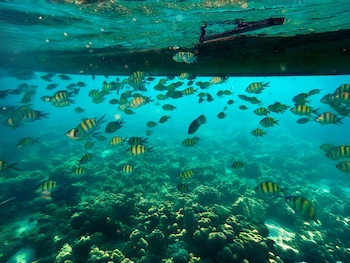 bjandradisson seaview hotel