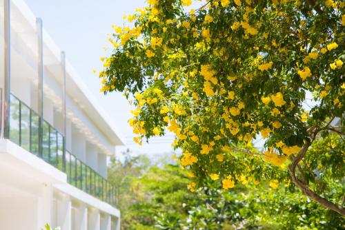 bjandradisson seaview hotel