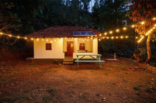 underground hostel by bilwa estate