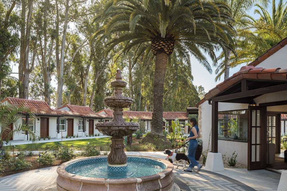 casia inn