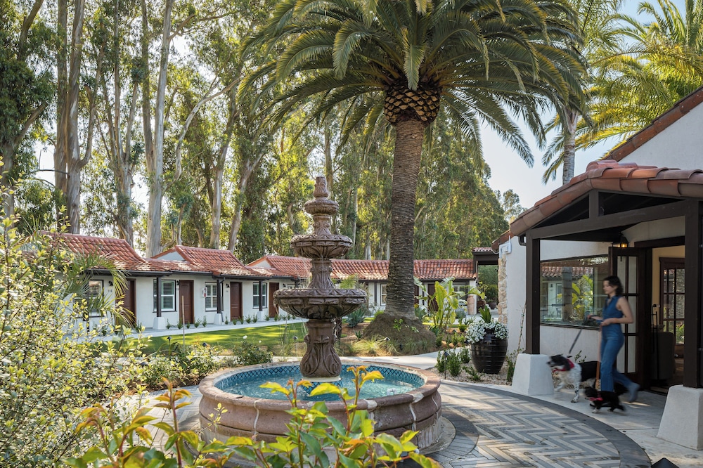 casia inn
