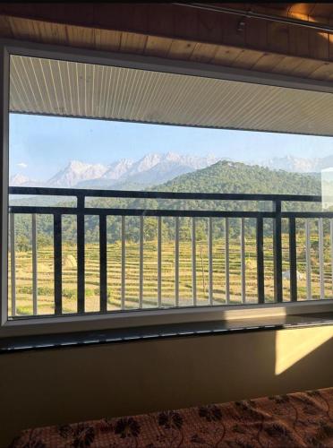 palampur