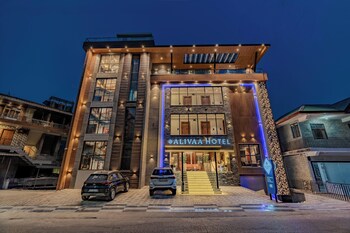 alivaa hotel mcleodganj