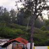 yercaud