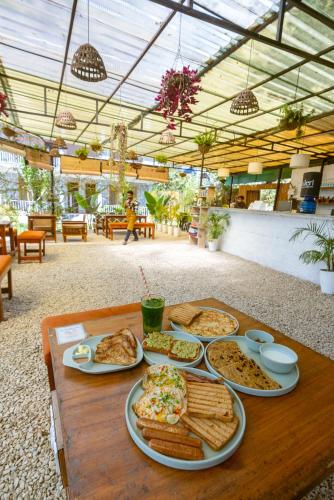 tlo the life outdoor bir