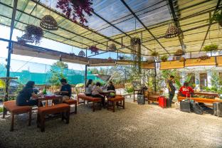 tlo the life outdoor bir