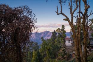 perfectstayz premium westend mall road