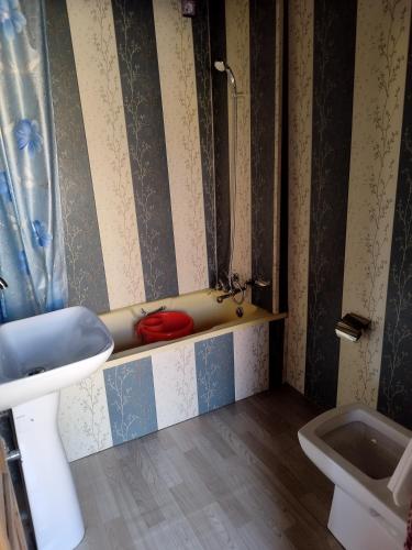 Houseboat Shamshad,,3 star