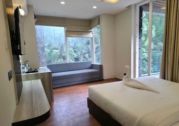 vinsober kainchi dham nainital