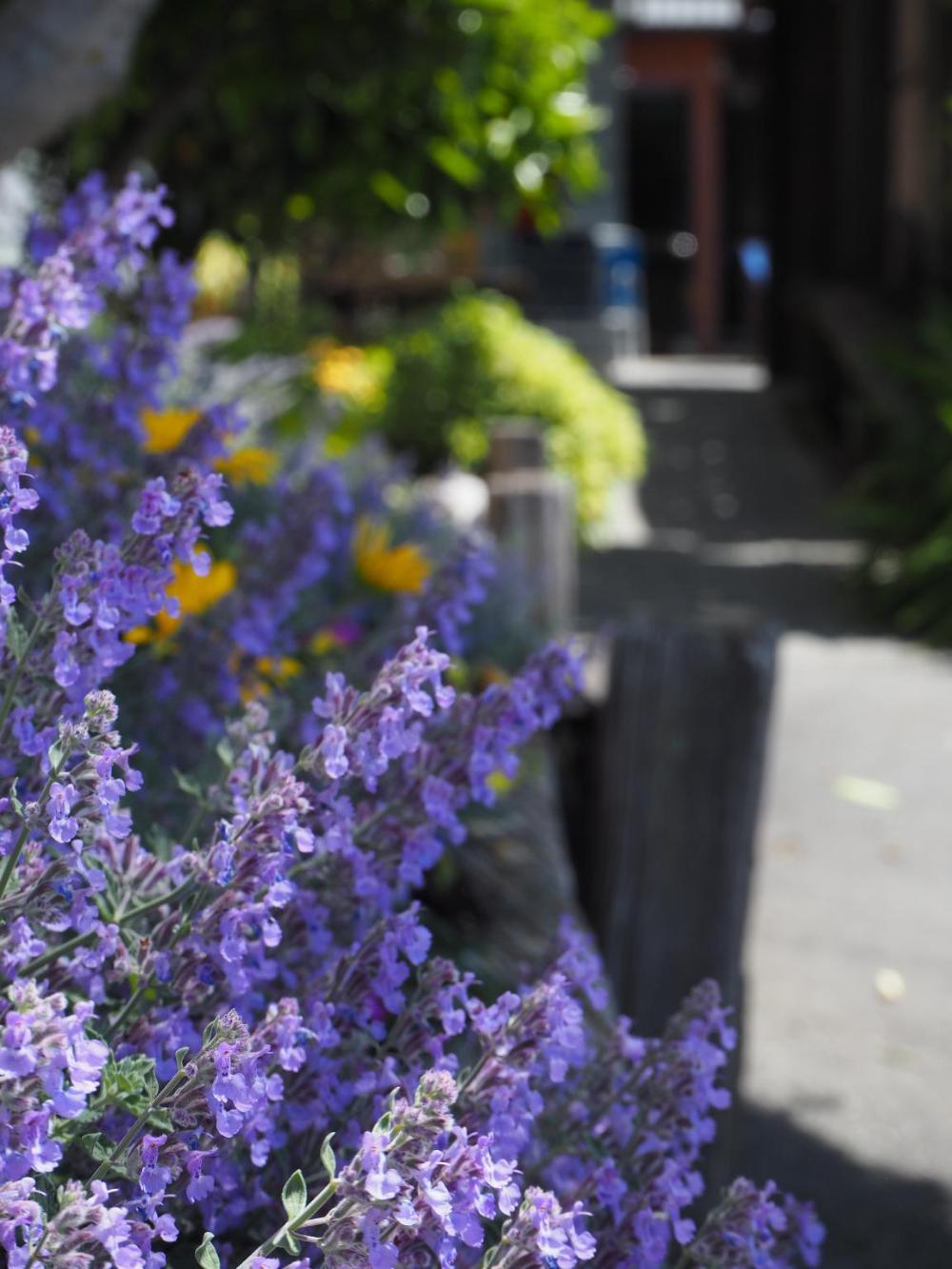 tasman bay backpackers