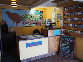 tasman bay backpackers