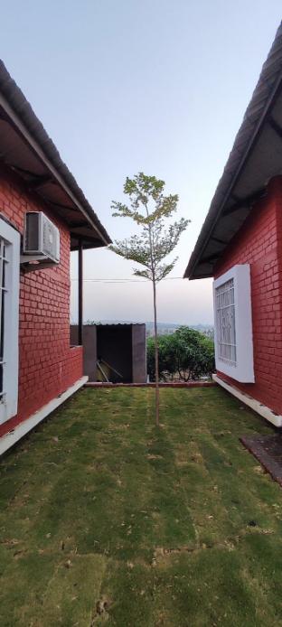 viraj mango orchid agrotourism and resort